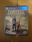 Brothers: A Tale of Two Sons