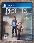 Brothers: A Tale of Two Sons