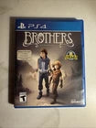 Brothers: A Tale of Two Sons