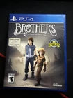 Brothers: A Tale of Two Sons