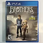 Brothers: A Tale of Two Sons