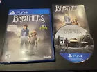 Brothers: A Tale of Two Sons